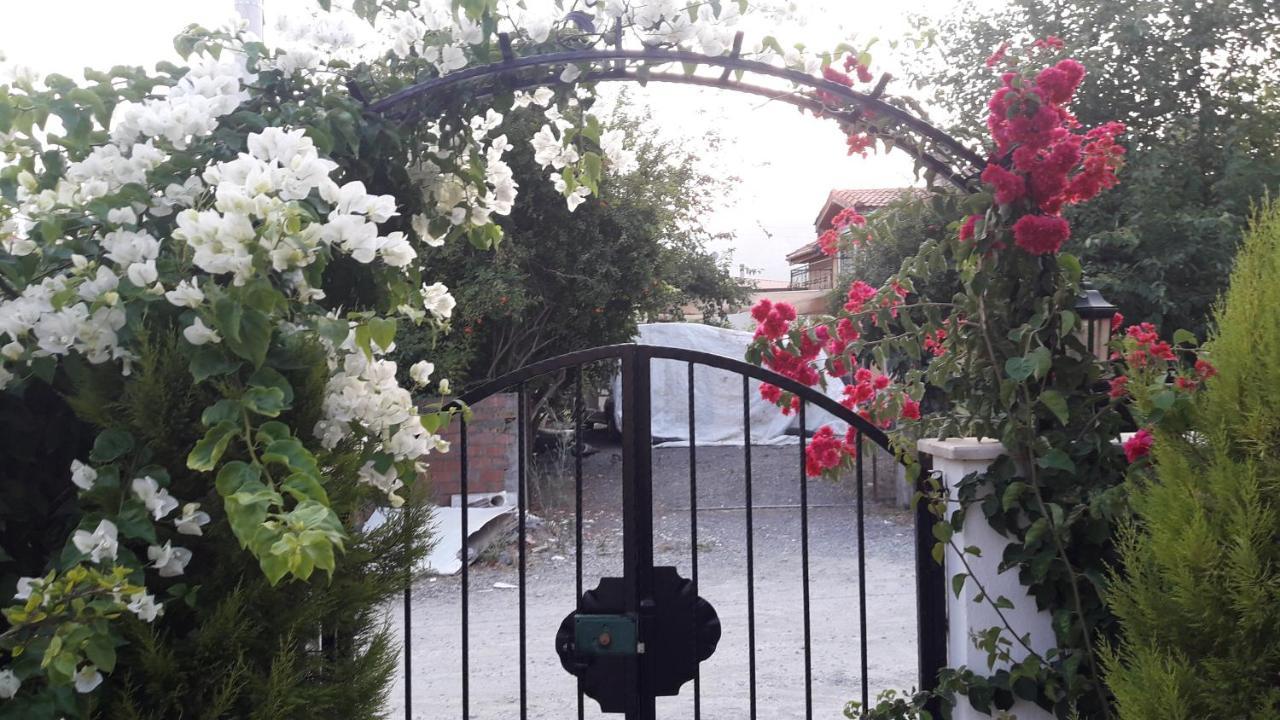 Villa Ebrar Dalyan Мугла Екстер'єр фото